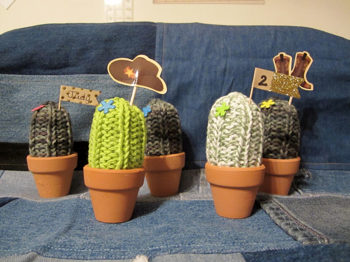 Cactus Pin Cushions Handknitted Etsy