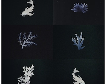 Coral Collage (2023) 8 x 8"