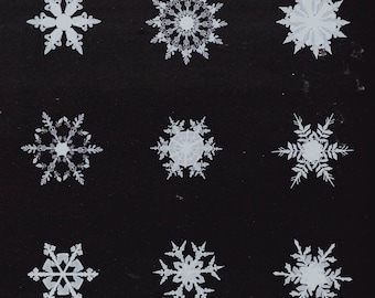 Snowflake Art Print: Somerset Velvet Paper, Winter Decor (8" x 8")