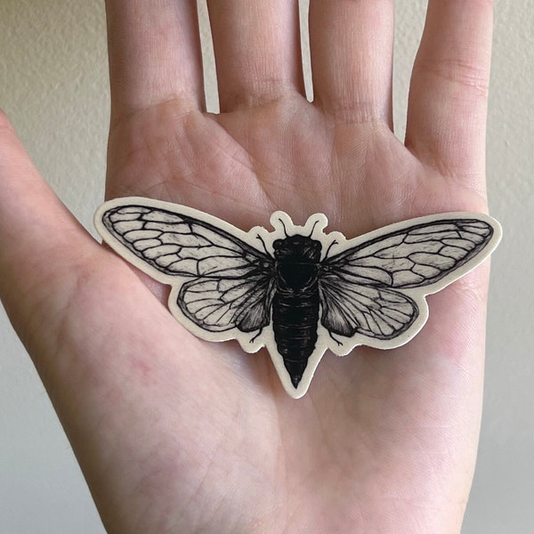 Vinyl Waterproof Cicada Art Sticker - Entomology Stickers - Brood X Cicada - Cicada Insect Sticker - Cicada Accessories 1.5in x 3in