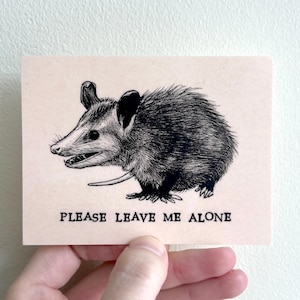 Adesivo de vinil de gambá - Gambá - Por favor, me deixe em paz