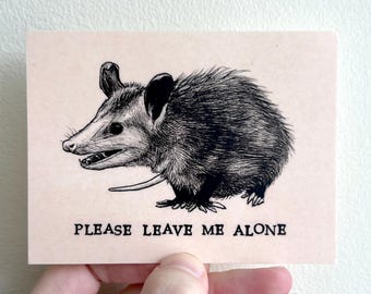 Possum Vinyl Sticker - Opossum - Please Leave Me Alone