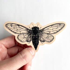 Vinyl Wasserdichter Zikadenaufkleber - Entomologie-Aufkleber - Zikadeninsektenaufkleber - Insektenliebhaber Ziikadenkunst - Zikadenzubehör 5,5 cm x 10,5 cm