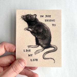 Rat, ik probeer gewoon te leven, waterdichte vinylsticker - 3,25 x 4 inch