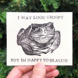Toad I May Look Grumpy Vinyl Sticker - 4in x 3.25in - Frog Accessories