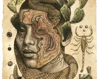 Desert Portrait Scientific Illustration Art - Nature Print - Digital Print - Wall Art - Cactus - Decor - Scorpion - Bizarre - Fantasy Snake