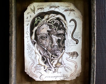 Illustration originale à l’encre et à l’aquarelle avec cadre en bois récupéré - Shadowbox Art - Illustration scientifique - Art bizarre - Art gothique