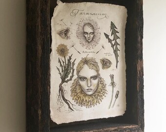 Pissenlit original fantaisie féerie mythique illustration scientifique portrait - art original - bois récupéré - art encadré - vintage - rustique