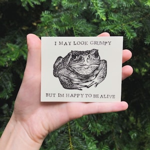 Toad Vinyl Sticker 4in x 3.25in - Waterproof sticker - vinyl sticker - laptop sticker -weatherproof sticker - large sticker