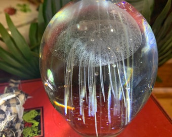 Gorgeous glass jellyfish paperweight. Glass art. Office paperweight. Ocean, beach, coastal.