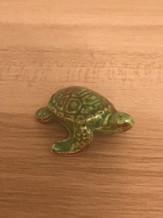 tiny green turtle