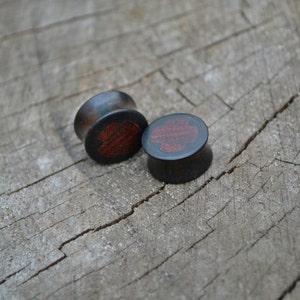 May include: Two dark brown wooden ear plugs with a reddish-brown center design. The plugs are circular and have a slightly flared edge. They are resting on a weathered, gray wooden surface.