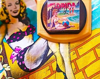 OOAK Florida Sunshine State Lenticular Brooch