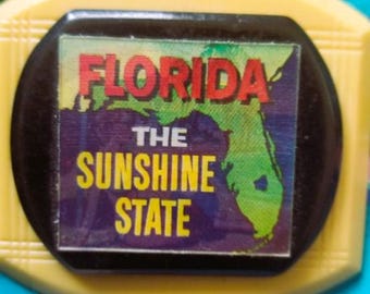 OOAK Florida Sunshine State Lenticular Brooch