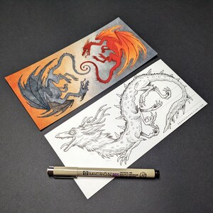 Cartes postales en miroir de bêtes - Cartes postales premium douces au toucher de taille DL avec des motifs d'animaux et de bêtes mythiques en miroir, des dragons, des loups, des loutres