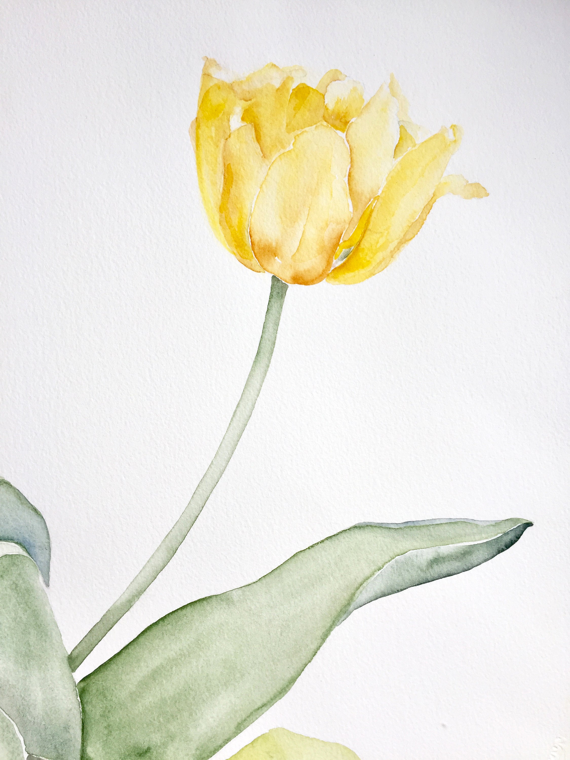 The Others Yellow Tulips - Original Watercolor Painting, Floral Spring ...
