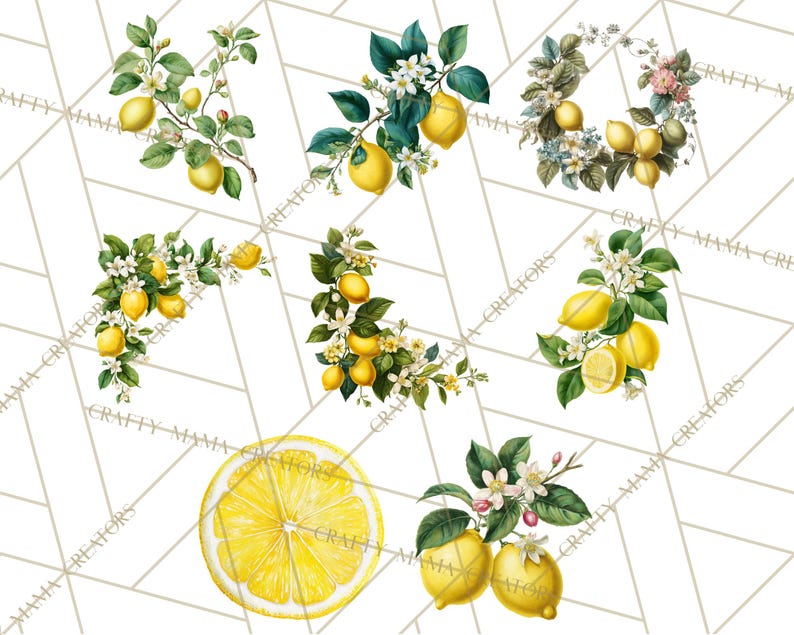 64 Png, clipart citron, citron botanique PNG vintage, agrumes Clip Art, illustrations imprimables de citron, fleur de citron PNG, décoration de cuisine image 8