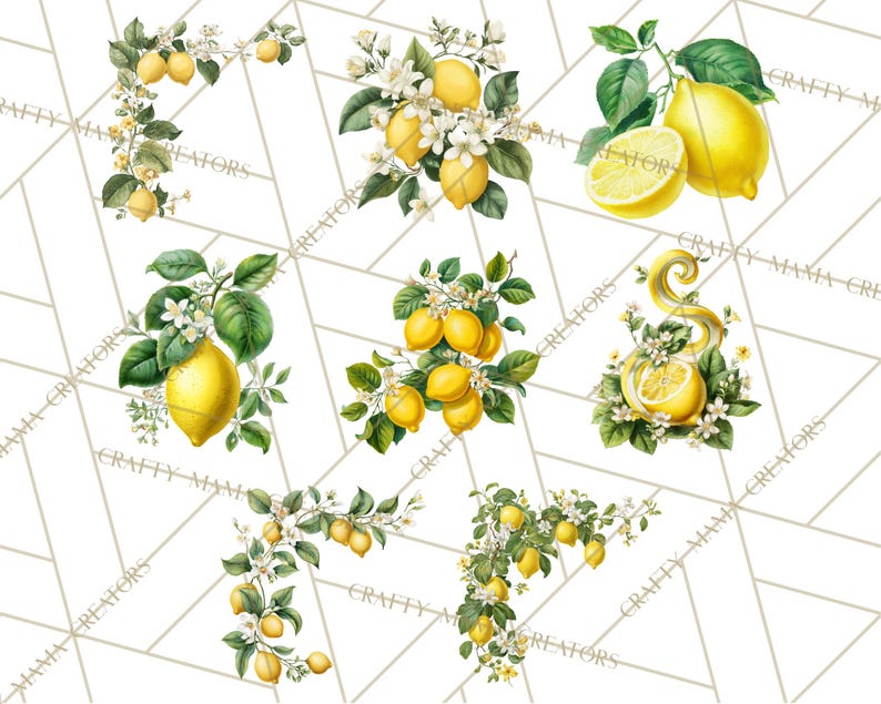 64 Png, clipart citron, citron botanique PNG vintage, agrumes Clip Art, illustrations imprimables de citron, fleur de citron PNG, décoration de cuisine image 4