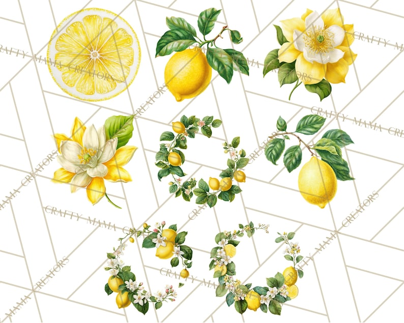 64 Png, clipart citron, citron botanique PNG vintage, agrumes Clip Art, illustrations imprimables de citron, fleur de citron PNG, décoration de cuisine image 9