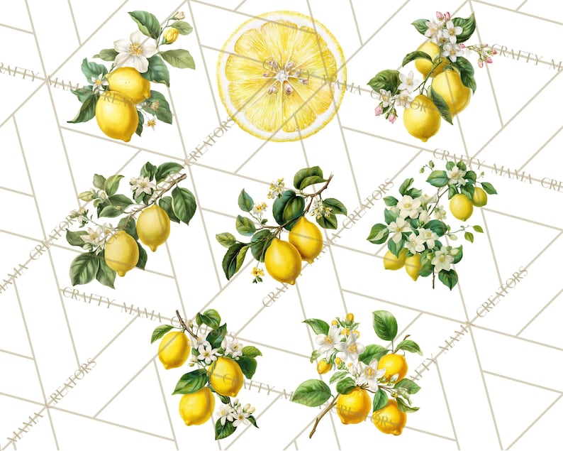 64 Png, clipart citron, citron botanique PNG vintage, agrumes Clip Art, illustrations imprimables de citron, fleur de citron PNG, décoration de cuisine image 7