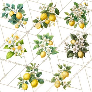 Peut inclure: Illustrations &agrave; l'aquarelle de branches de citronniers avec des citrons jaunes vifs, des fleurs blanches et des feuilles vertes. Les citrons sont regroup&eacute;s sur des branches, certains avec des fleurs, sur fond blanc &agrave; motifs g&eacute;om&eacute;triques.