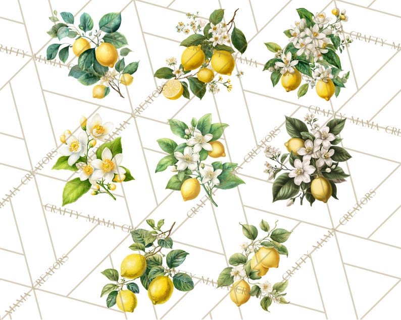 Peut inclure: Illustrations &agrave; l'aquarelle de branches de citronniers avec des citrons jaunes vifs, des fleurs blanches et des feuilles vertes. Les citrons sont regroup&eacute;s sur des branches, certains avec des fleurs, sur fond blanc &agrave; motifs g&eacute;om&eacute;triques.