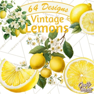 64 Png, Lemon Clipart, Vintage Lemon Botanical PNG, Citrus Fruit Clip Art, Printable Lemon Illustrations, Lemon Blossom PNG, Kitchen Decor