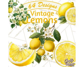 64 PNG, Limón Clipart, Limón Botánico Vintage PNG, Clip Art de Frutas Cítricas, Ilustraciones Imprimibles de Limón, Flor de Limón PNG, Decoración de Cocina