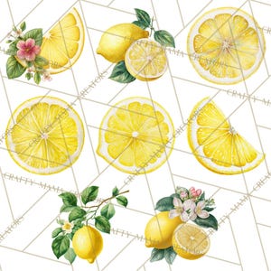 64 Png, clipart citron, citron botanique PNG vintage, agrumes Clip Art, illustrations imprimables de citron, fleur de citron PNG, décoration de cuisine image 6