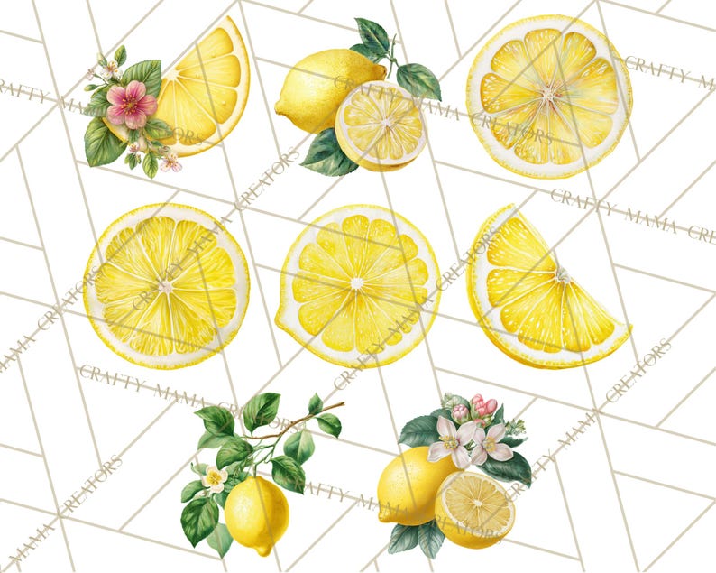 64 Png, clipart citron, citron botanique PNG vintage, agrumes Clip Art, illustrations imprimables de citron, fleur de citron PNG, décoration de cuisine image 6