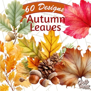 May include: A digital design featuring a collection of autumn leaves in various colors, including red, yellow, and brown. The image also includes acorns and pine cones. Text reads "60 Designs Autumn Leaves".