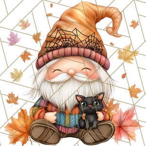 May include: A gnome with a long white beard and a brown hat with a spiderweb design is sitting with a black cat. The gnome is wearing a colorful sweater and has a friendly expression. The gnome and cat are surrounded by autumn leaves.