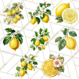 Peut inclure: Illustrations &agrave; l'aquarelle de citrons avec des feuilles vertes et des fleurs blanches. Certains citrons sont entiers, d'autres sont coup&eacute;s, r&eacute;v&eacute;lant le fruit jaune vif. Les images sont sur un fond g&eacute;om&eacute;trique clair.