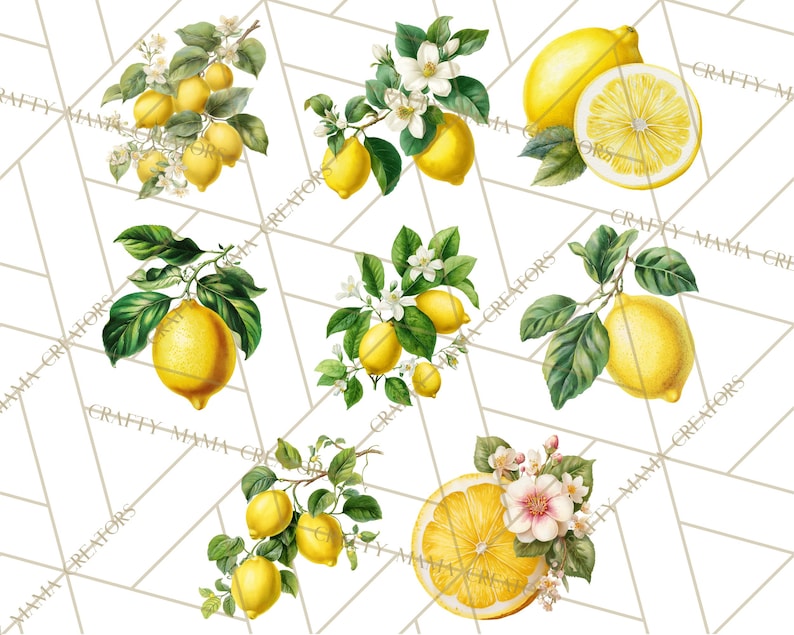 Peut inclure: Illustrations &agrave; l'aquarelle de citrons avec des feuilles vertes et des fleurs blanches. Certains citrons sont entiers, d'autres sont coup&eacute;s, r&eacute;v&eacute;lant le fruit jaune vif. Les images sont sur un fond g&eacute;om&eacute;trique clair.