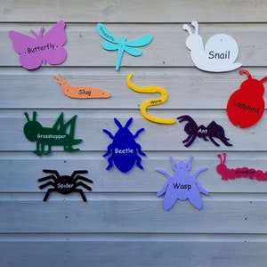 May include: A wall display of colourful wooden insect cutouts, including a butterfly, dragonfly, snail, ladybug, grasshopper, beetle, ant, wasp, caterpillar, slug, and worm. Each cutout has the name of the insect written on it.