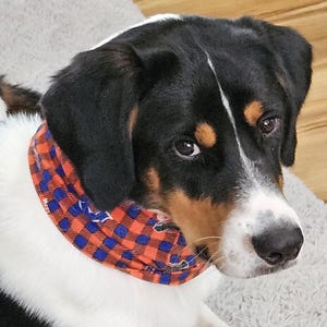 Pet Dog Cat Scarf Snood - UF Florida Gators, FSU Seminoles or Plaid Equestrian Horse Print