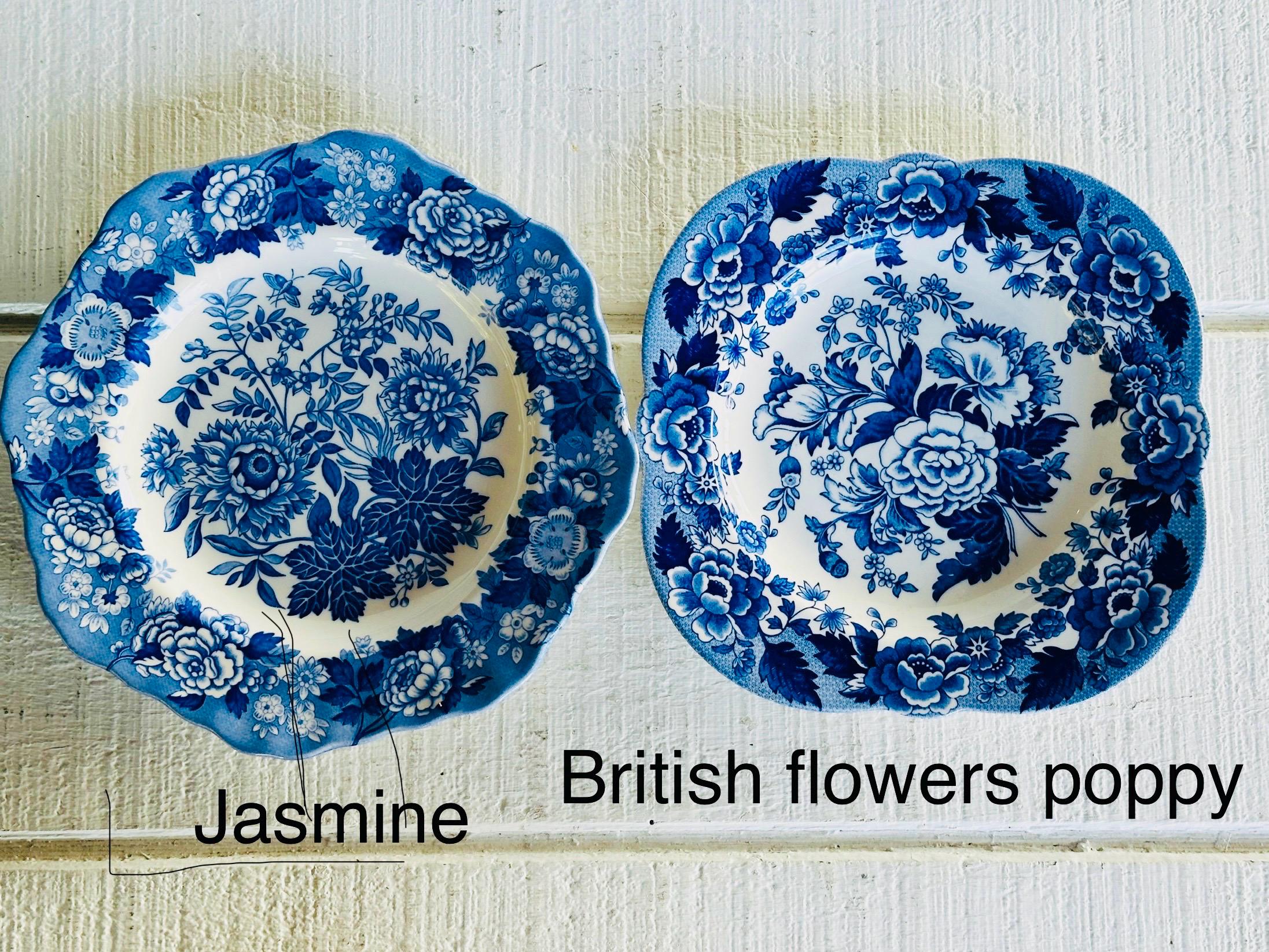 Vintage Spode Blue Room Garden Collection JASMINE British Flowers