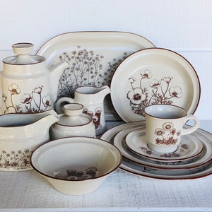 1970s 80s Noritake Stoneware DESERT FLOWERS 8341 Japan Vintage