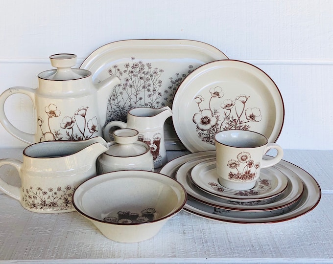 1970s 80s Noritake Stoneware DESERT FLOWERS 8341 Japan Vintage Noritake