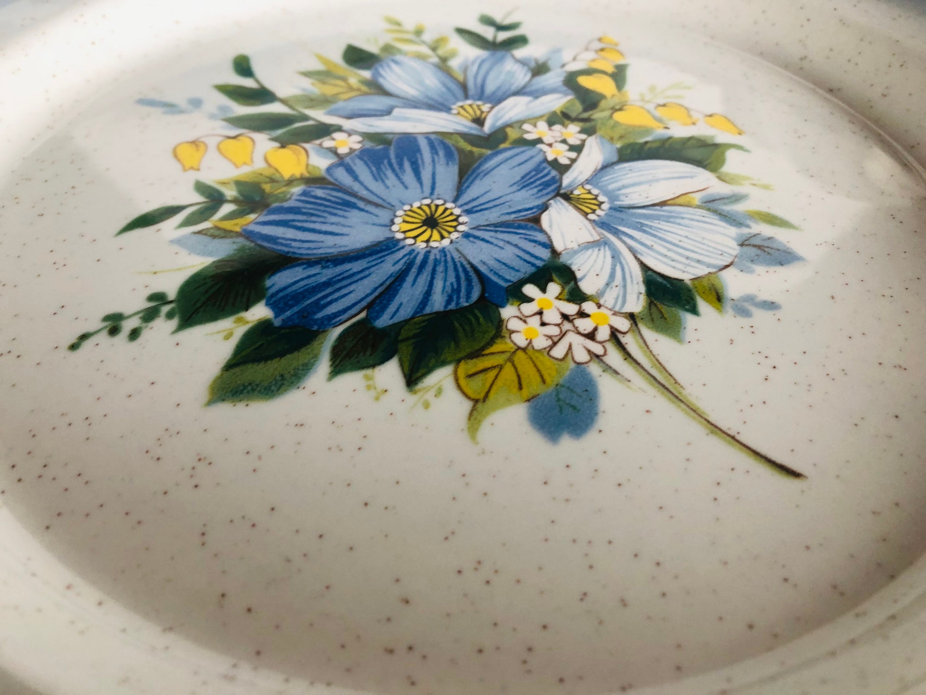 Vintage 70s Mikasa Natures Best Country Club Dishes Mikasa