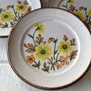 Vintage ironstone floral plate Johnson Brothers England A La Carte Honey Bunch dinner plates, Retro floral plates brown specks replacements