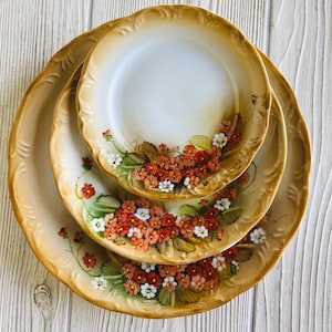 May include: Set of three porcelain plates with a floral design. The plates feature a delicate pattern of pink and white flowers with green leaves on a cream background.