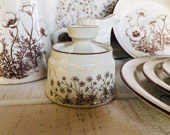 1970s 80s Noritake Stoneware DESERT FLOWERS 8341 Japan Vintage