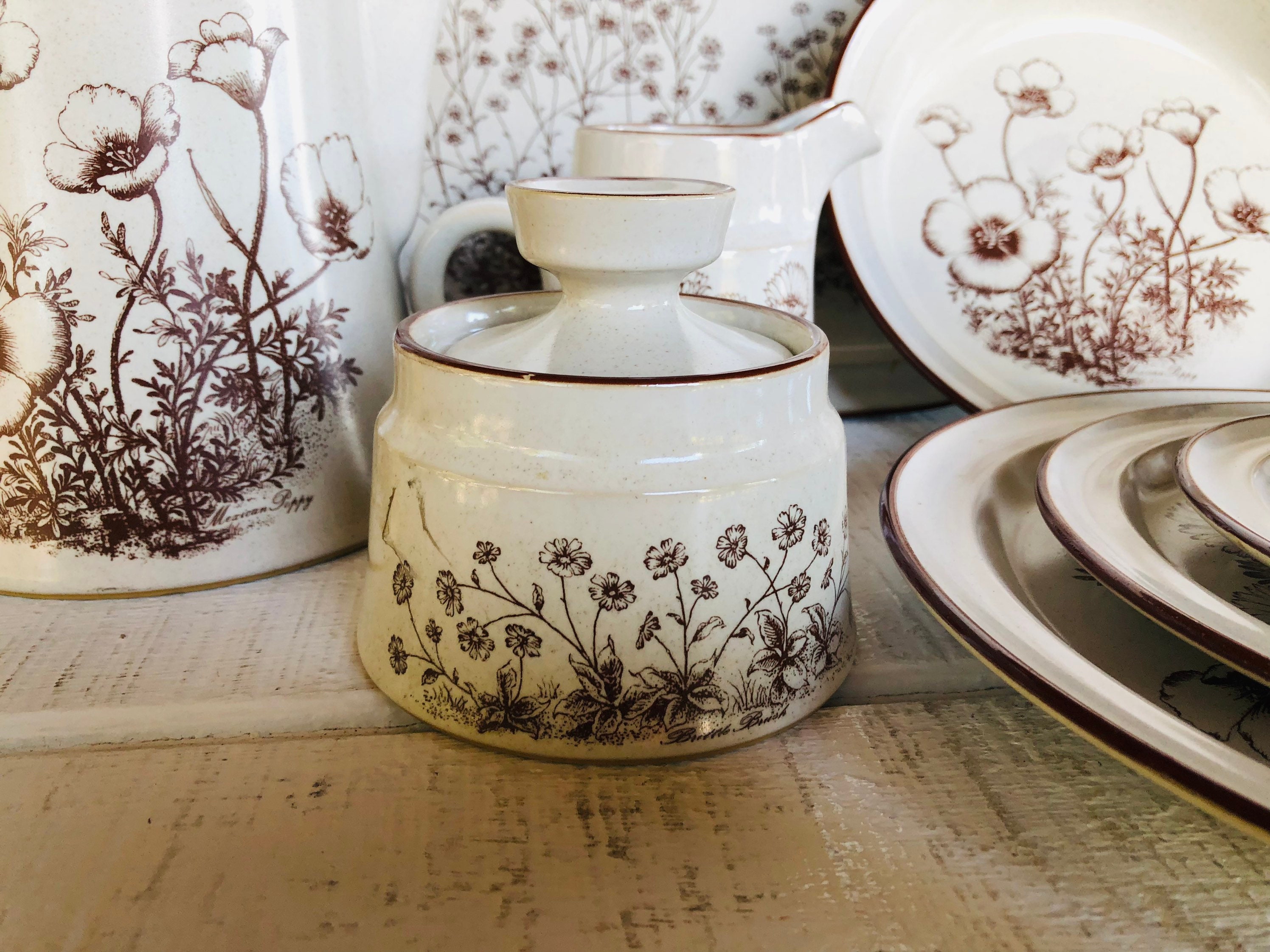 1970s 80s Noritake Stoneware DESERT FLOWERS 8341 Japan