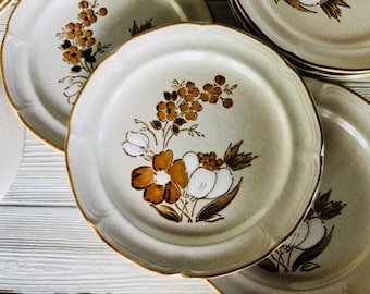 Vintage stoneware dinner plates retro dishes 10 12" plates Autumn Fair Hearthside Baroque 1970s Japan brown trim white floral hand painted