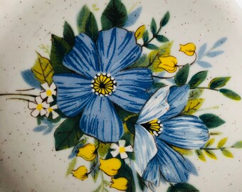 Mikasa カントリーストア プレート29枚セット ヴィンテージ Vintage 70s Mikasa Natures Best Country Club Dishes Mikasa