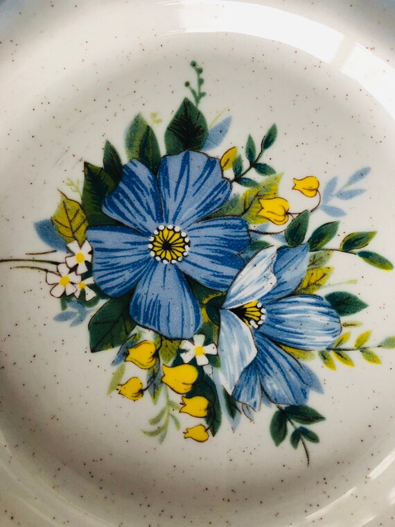 Vintage 70s Mikasa Natures Best Country Club Dishes Mikasa