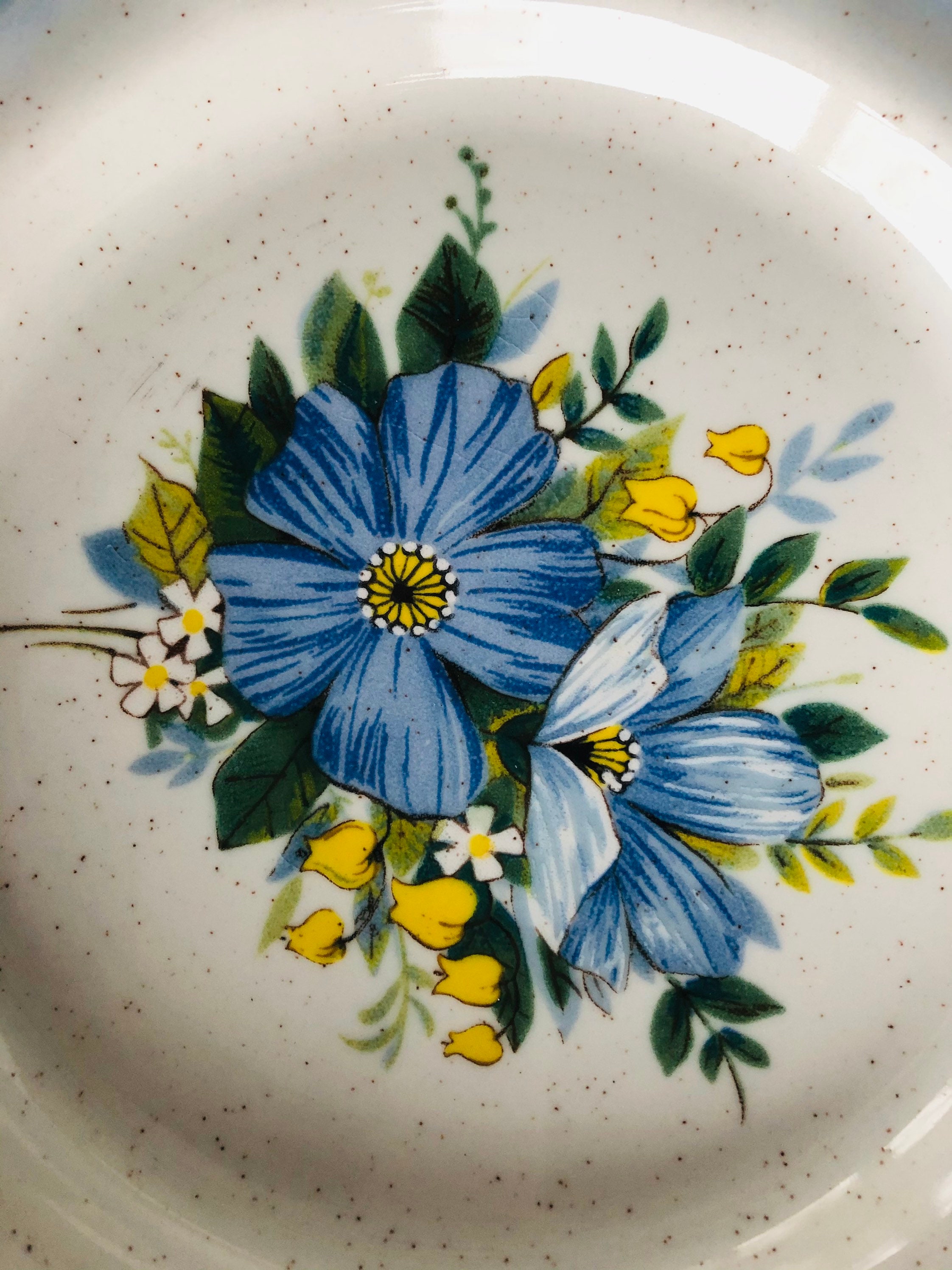 Mikasa カントリーストア プレート29枚セット ヴィンテージ Vintage 70s Mikasa Natures Best Country Club Dishes Mikasa