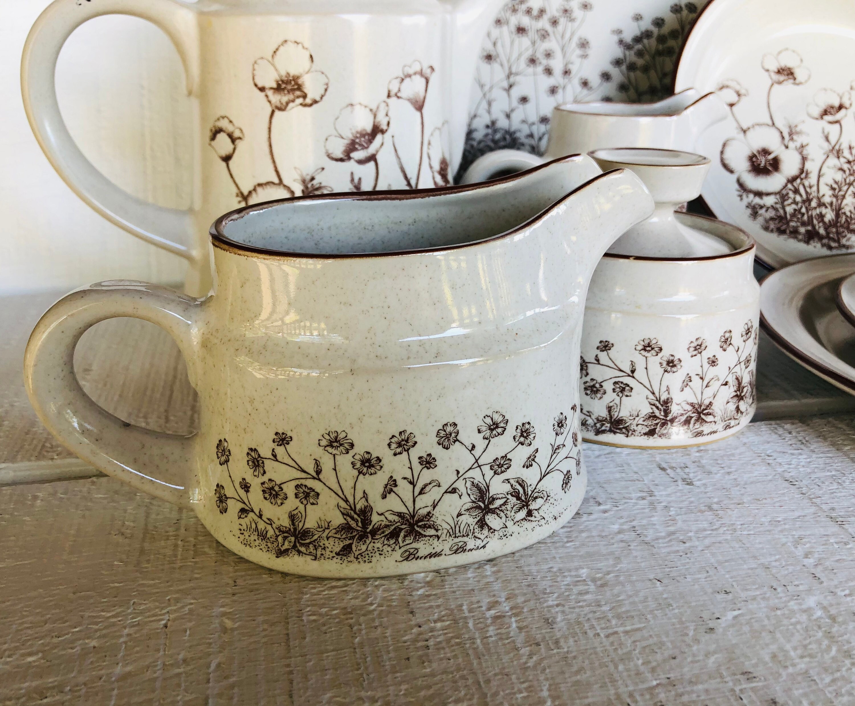 1970s 80s Noritake Stoneware DESERT FLOWERS 8341 Japan Vintage