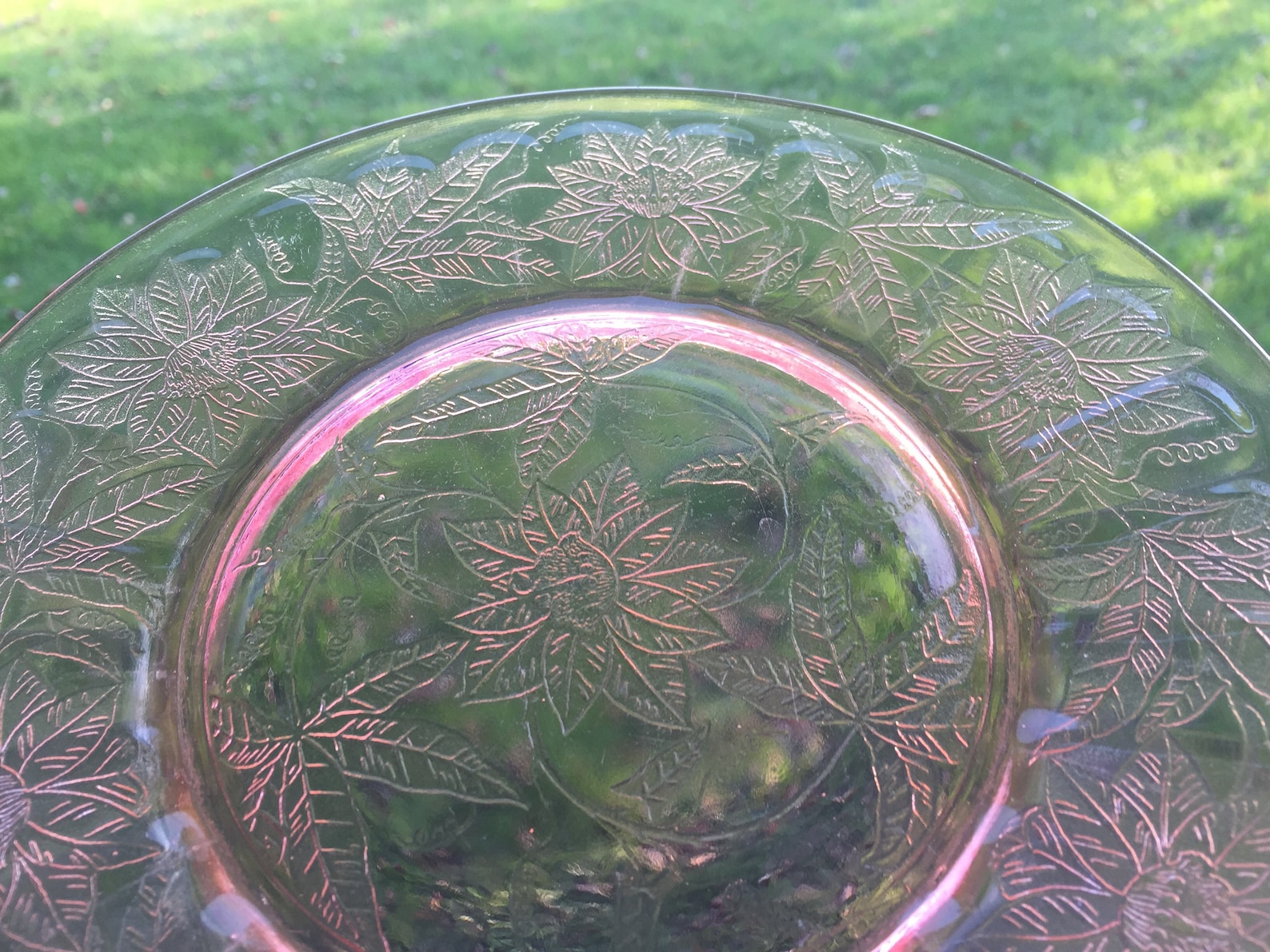 Pink Depression Glass Plate Floral Pink Poinsettia Etsy